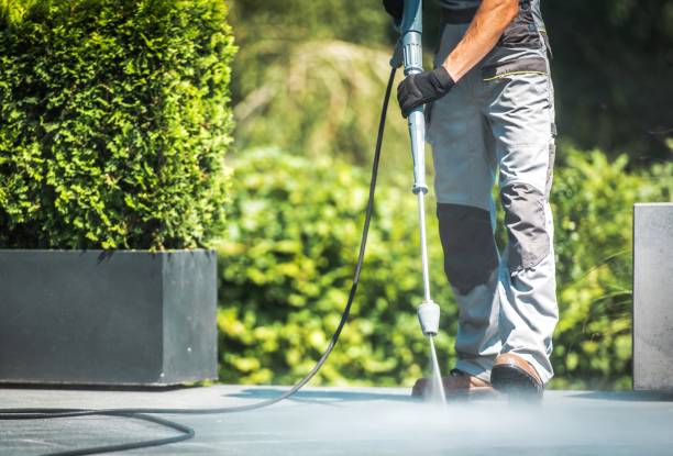 Best Sidewalk and Walkway Cleaning  in Crandall, TX